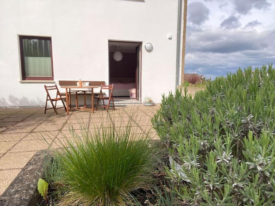 Apartment Am Golfplatz Obernkirchen 외부 사진